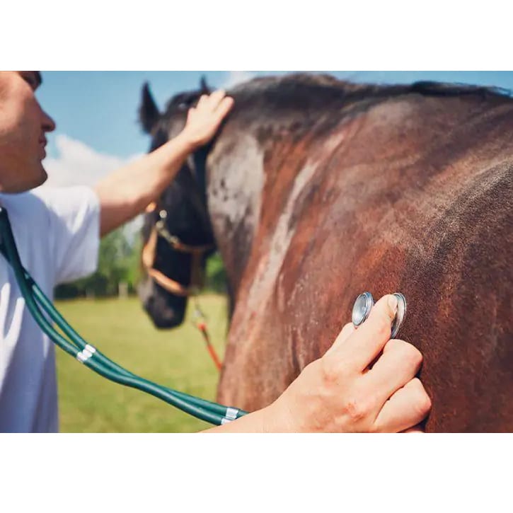 Copyright Stalapotheek.nl (c) Stalapotheek.nl