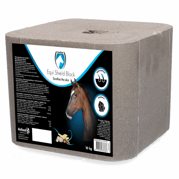 Excellent Horse Shield Block 10 kg