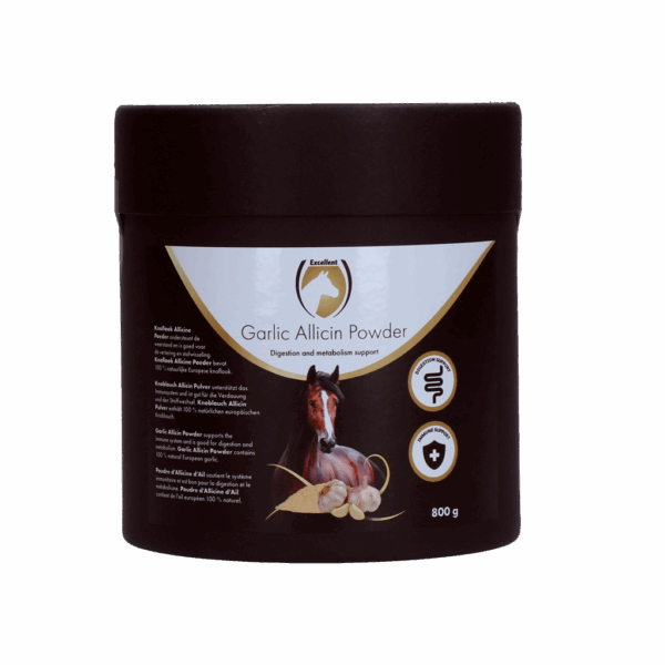Excellent Horse Garlic Allicin Powder 800 g