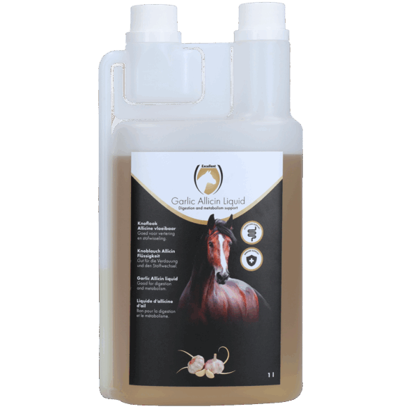 Excellent Horse Garlic Allicin Liquid 1 l