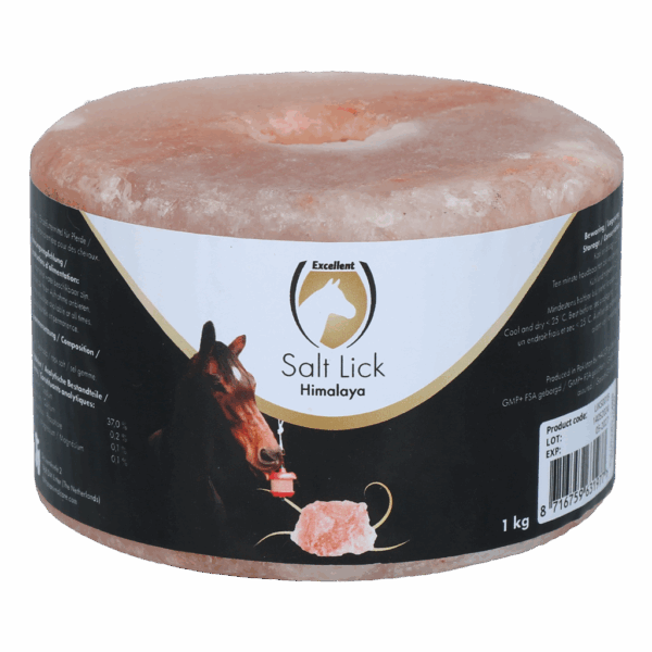 Excellent Horse Salt Lick Himalaya