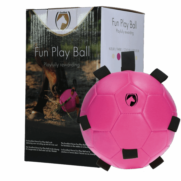 Excellent Horse Fun Play Ball
